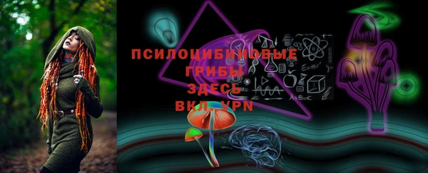 PSILOCYBIN Абаза