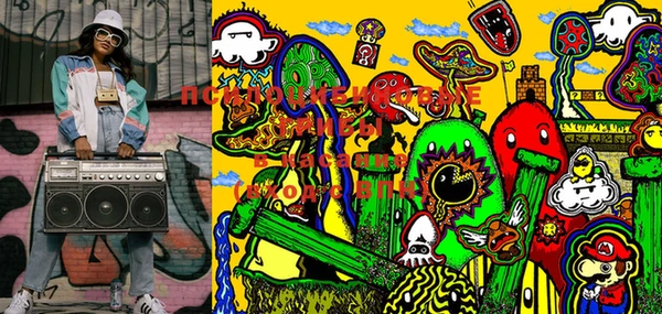 PSILOCYBIN Абаза