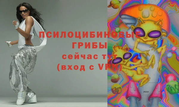 ECSTASY Алексеевка
