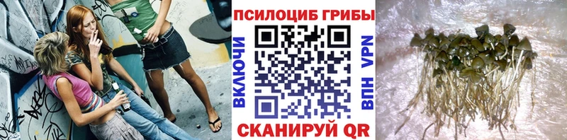 hydra ссылка  Вологда  Псилоцибиновые грибы мицелий  сайты даркнета как зайти  цены  